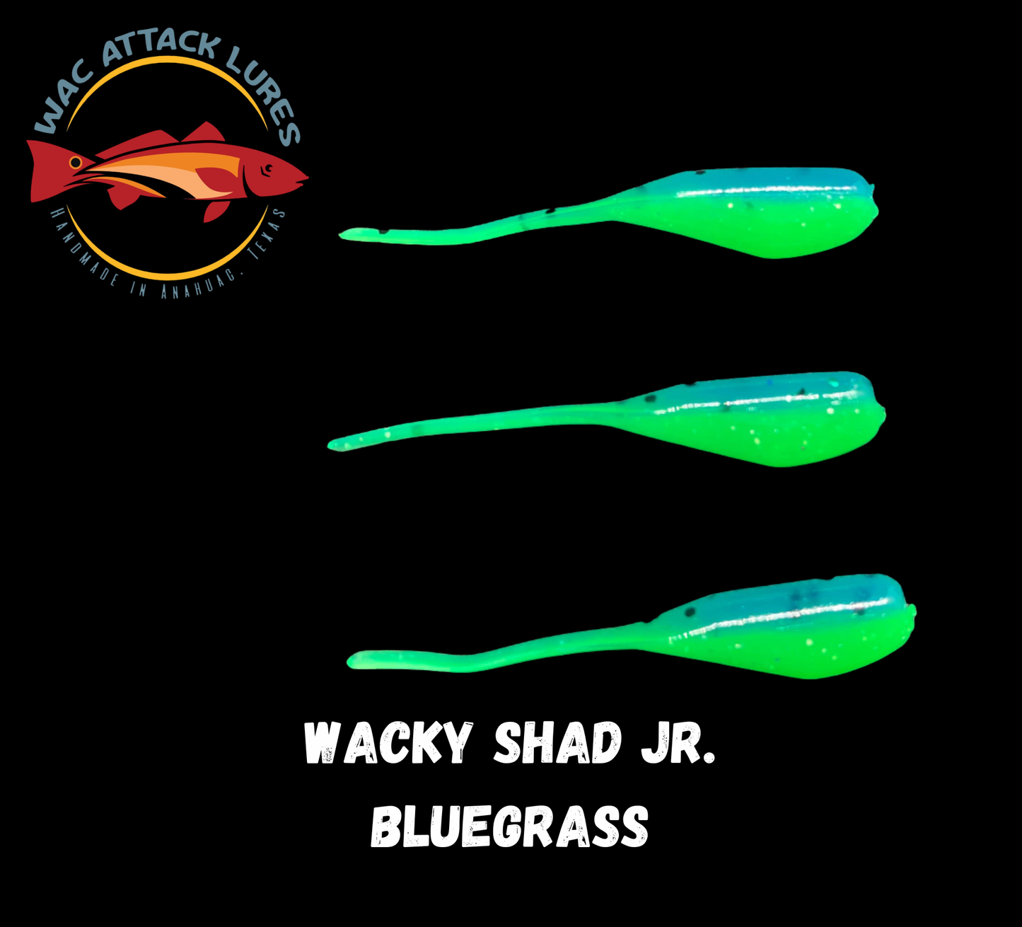WACky Shad Jr. Bluegrass